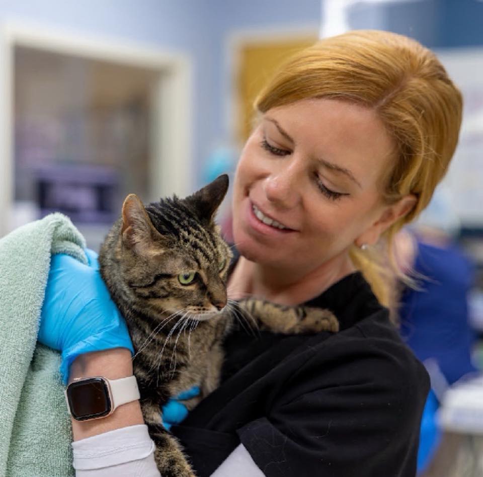 Lily Preston smiling while holding a tabby cat wrapped in a towel